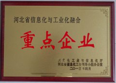重點(diǎn)企業(yè)